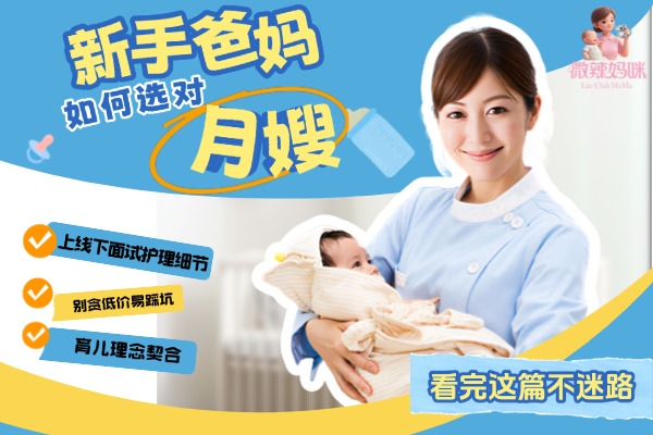新手爸妈月嫂选择攻略科普分享人物大字风小红书封面
